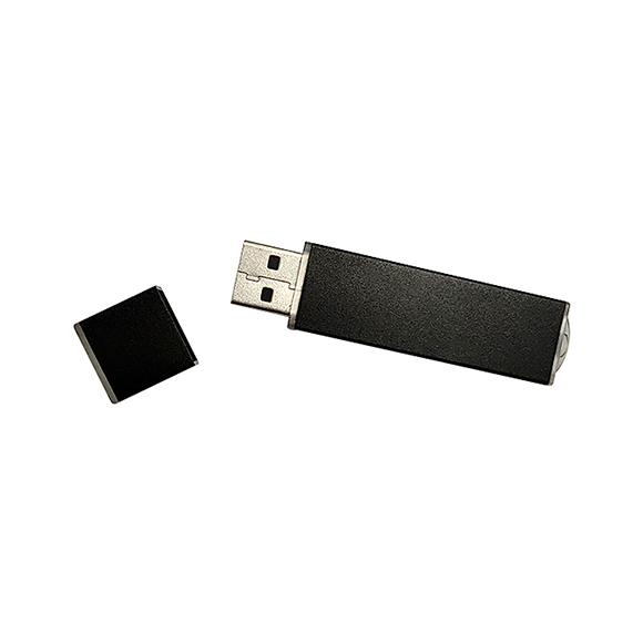 High speed usb2.0 usb3.0 Strip shaped pendrive 8gb LWU1092